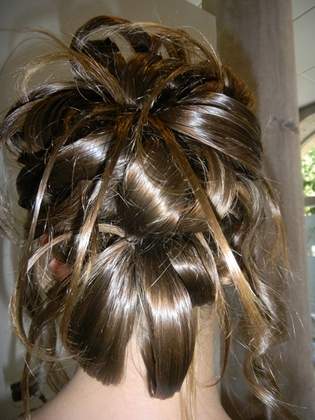 chignon 31